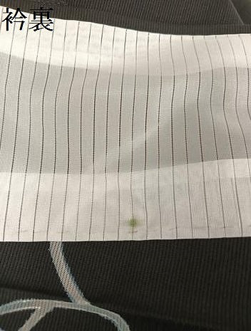平和屋着物＊夏物 訪問着 絽 駒刺繍 流水 蜻蛉 とんぼ 黒地 金糸 正絹 逸品 AABA2485np