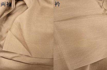 平和屋着物＊夏物 訪問着 本場大島紬 夏大島 中国三大刺繍 汕頭刺繍 スワトウ刺繍  川畑辰吉作 三越扱い 証紙付き 正絹 逸品 AABA2489np