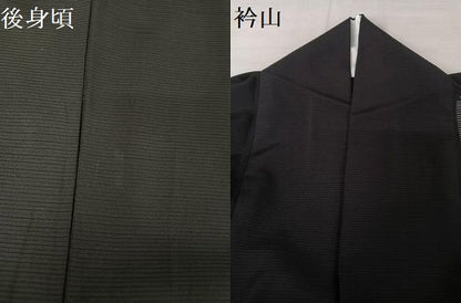 平和屋着物＊夏物 訪問着 絽 雪輪 暈し染め 黒地 正絹 逸品 AABA2490np