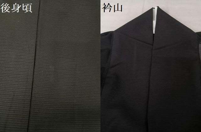 平和屋着物＊夏物 訪問着 絽 雪輪 暈し染め 黒地 正絹 逸品 AABA2490np