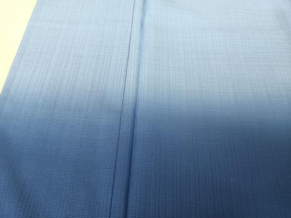 平和屋着物＊夏物　訪問着　セオアルファ　霞文　暈し染め　洗える着物　AABA2504np