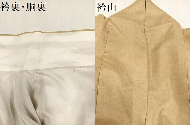 平和屋着物●訪問着　紬地　手描き　玉蟲　草花文　金銀彩　正絹　逸品　AABA2691ph