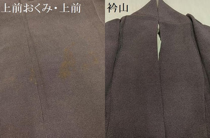 平和屋着物●日本工芸会正会員 藍田正雄の父・藍田春吉 江戸小紋 東武百貨店扱い 正絹 逸品 AABA2740ph