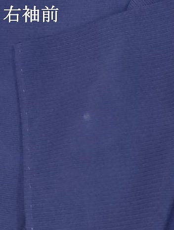 平和屋着物＊夏物 訪問着 絽 陶器文 洗える着物 AABA2768jd