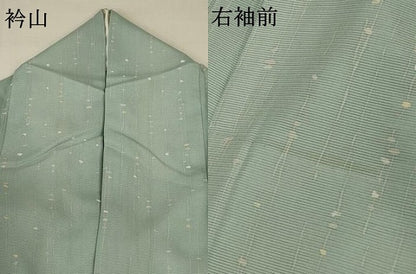 平和屋着物＊夏物 小紋 絽 枝葉文 正絹 逸品 AABA2787jd