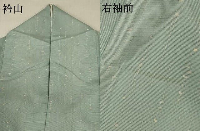 平和屋着物＊夏物 小紋 絽 枝葉文 正絹 逸品 AABA2787jd