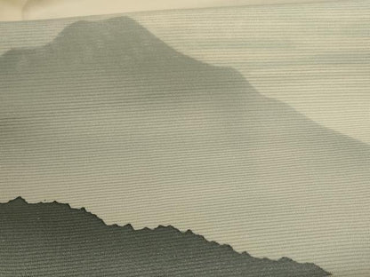 平和屋着物＊夏物 訪問着 絽 風景文 正絹 逸品 AABA2792jd
