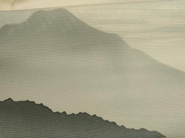 平和屋着物＊夏物 訪問着 絽 風景文 正絹 逸品 AABA2792jd