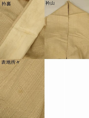 平和屋着物＊夏物 訪問着 紗 霞文 暈し染め 正絹 逸品 AABA2794jd