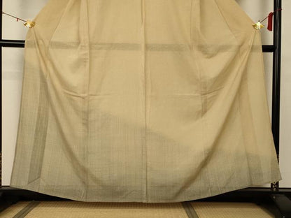 平和屋着物＊夏物 訪問着 紗 霞文 暈し染め 正絹 逸品 AABA2794jd