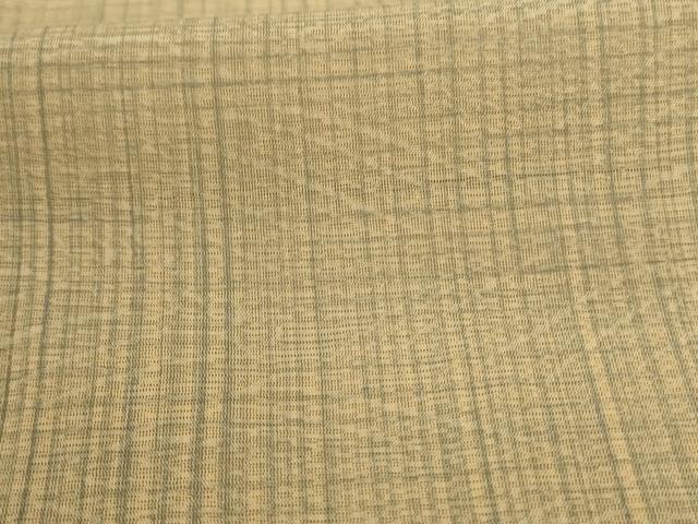 平和屋着物＊夏物 訪問着 紗 霞文 暈し染め 正絹 逸品 AABA2794jd