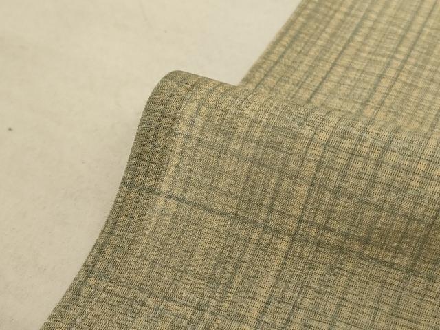 平和屋着物＊夏物 訪問着 紗 霞文 暈し染め 正絹 逸品 AABA2794jd