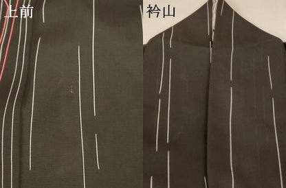 平和屋着物＊夏物 小紋 絽 変わり縞 正絹 逸品 AABA2799jd