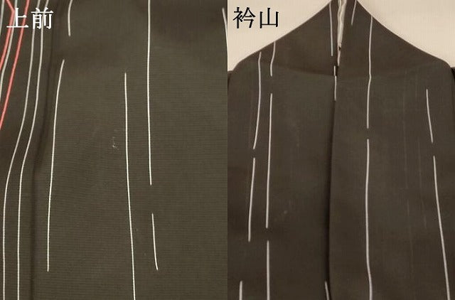 平和屋着物＊夏物 小紋 絽 変わり縞 正絹 逸品 AABA2799jd