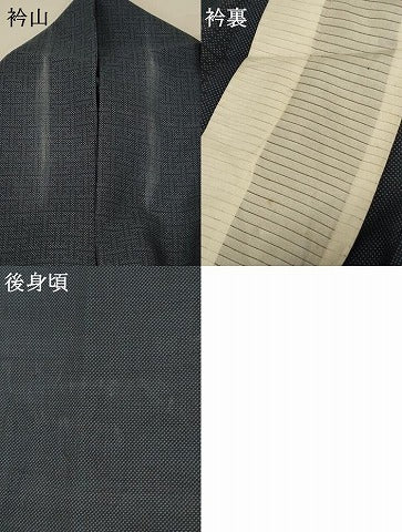 平和屋着物＊夏物 本場大島紬 夏大島 幾何学文様 正絹 逸品 AABA2802jd