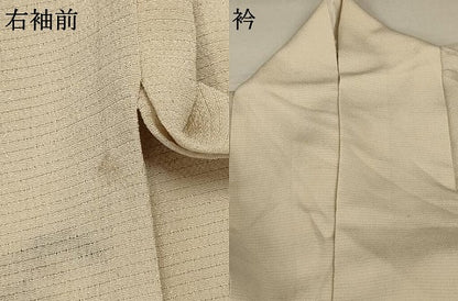 平和屋着物＊夏物 訪問着 絽 風景文 正絹 逸品 AABA2803jd
