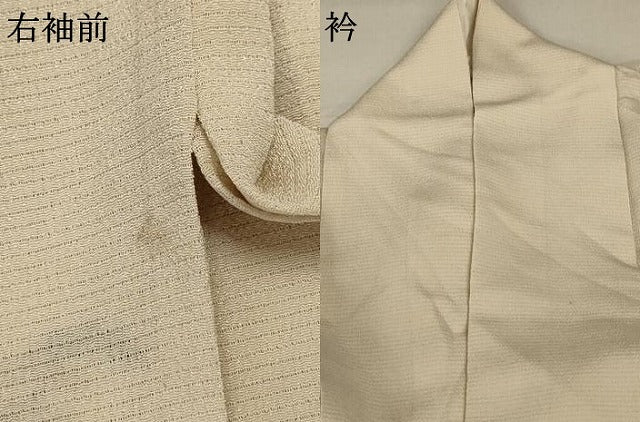平和屋着物＊夏物 訪問着 絽 風景文 正絹 逸品 AABA2803jd