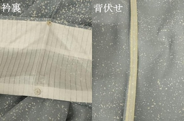 平和屋着物＊夏物 訪問着 絽 刺繍 草花文 金彩 正絹 逸品 未使用 AABA2810jd