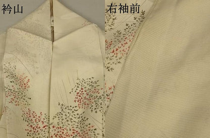 平和屋着物＊夏物 小紋 絽 枝葉文 正絹 逸品 AABA2824jd