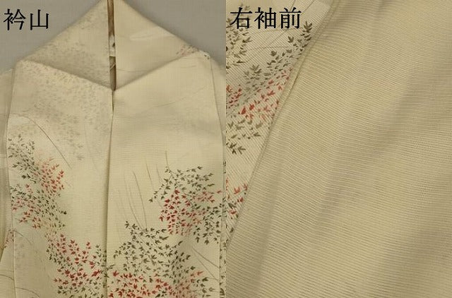 平和屋着物＊夏物 小紋 絽 枝葉文 正絹 逸品 AABA2824jd