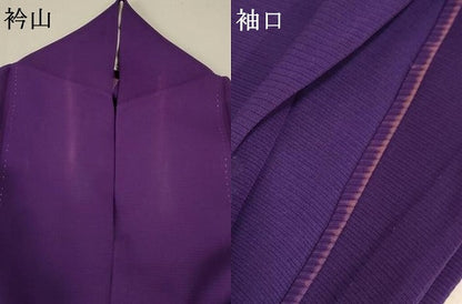平和屋着物＊夏物　訪問着　絽　手描き　紫陽花　正絹　逸品　AABA2828jd