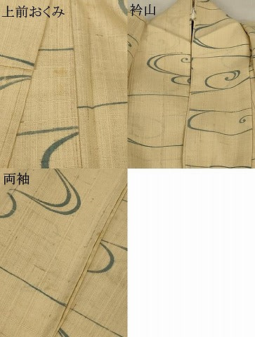 平和屋着物＊夏物 生紬 観世水 正絹 逸品 AABA2838jd