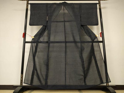 平和屋着物＊夏物 紗紬 霞文 正絹 逸品 AABA2846jd