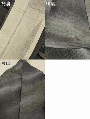 平和屋着物＊夏物 小紋 絽 斜縞 暈し染め 正絹 逸品 AABA2850jd