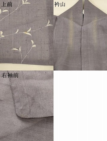 平和屋着物＊夏物 色留袖 紗 生紬 枝葉文 正絹 逸品 AABA2851jd