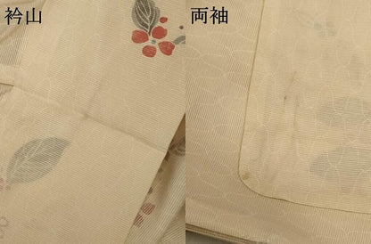 平和屋着物＊夏物 小紋 絽 草花文 正絹 逸品 AABA2855jd