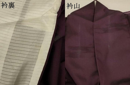 平和屋着物＊夏物 色無地 紗 似せ紫色 正絹 逸品 AABA2873jd