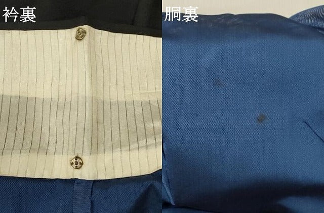 平和屋着物＊夏物 小紋 紗 飛鳥文 正絹 逸品 未使用 AABA2875jd