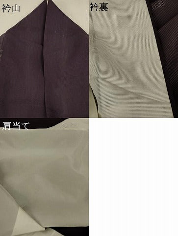 平和屋着物＊夏物 色無地 霞紋紗 黒鳶色 正絹 逸品 AABA2876jd