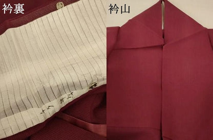 平和屋着物＊夏物 色無地 縦絽 葡萄茶色 正絹 逸品 AABA2879jd