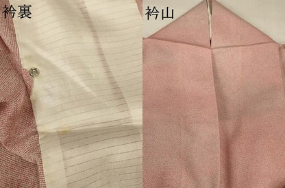 平和屋着物＊夏物 小紋 絽 作家物 鮫小紋柄 正絹 逸品 AABA2886jd