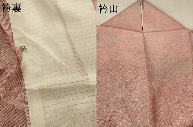 平和屋着物＊夏物 小紋 絽 作家物 鮫小紋柄 正絹 逸品 AABA2886jd