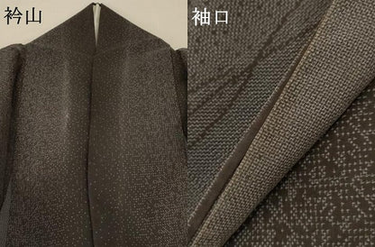 平和屋着物＊夏物 本場大島紬 夏大島 霞文 正絹 逸品 AABA2890jd
