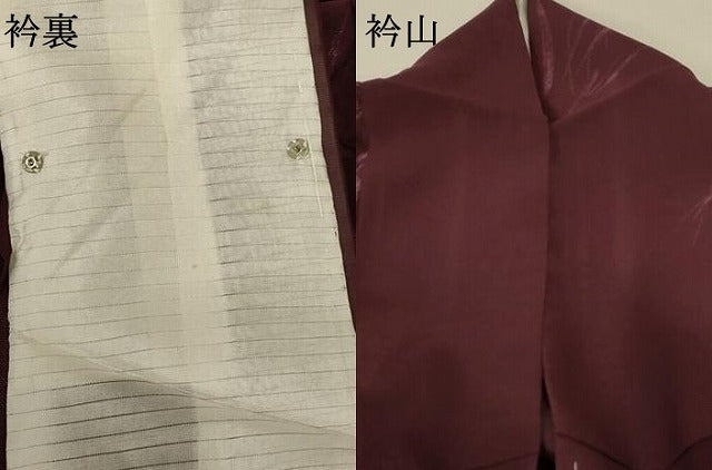 平和屋着物＊夏物 小紋 紗 草葉文 正絹 逸品 AABA2918jd