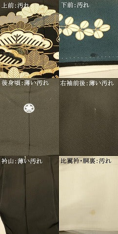平和屋着物■豪華黒留袖　駒刺繍　流水草花文　暈し染め　金彩　正絹　逸品　AABA3604fw