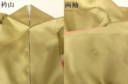 平和屋着物●訪問着　花蝶丸文　暈し染め　金彩　正絹　逸品　AABA4948np