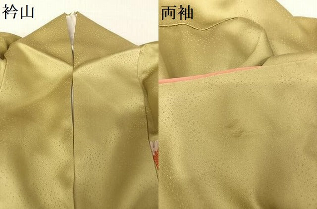 平和屋着物●訪問着　花蝶丸文　暈し染め　金彩　正絹　逸品　AABA4948np