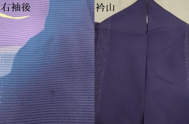 平和屋着物＊夏物　訪問着　絽　風景文　暈し染め　正絹　逸品　AABA5519sx