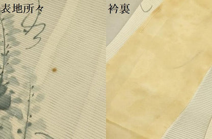 平和屋着物＊夏物　小紋　絽　藤花房　正絹　逸品　AABA5525sx