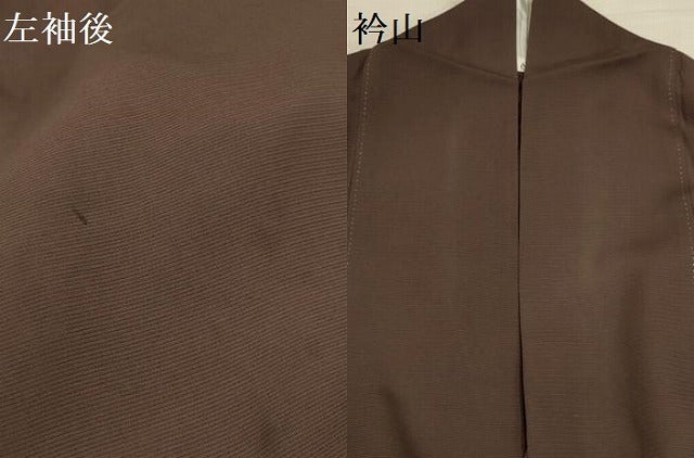 平和屋着物＊夏物 訪問着 絽 水玉 金彩 正絹 逸品 AABA5530sx