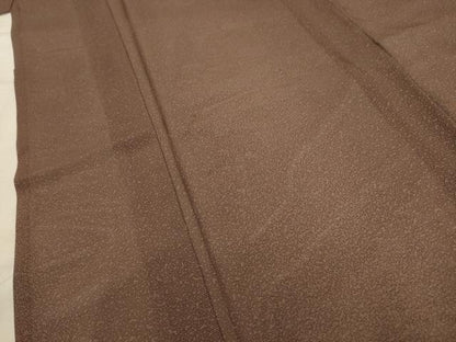 平和屋着物＊夏物 小紋 絽 霞文 ロング丈 正絹 逸品 AABA5541sx