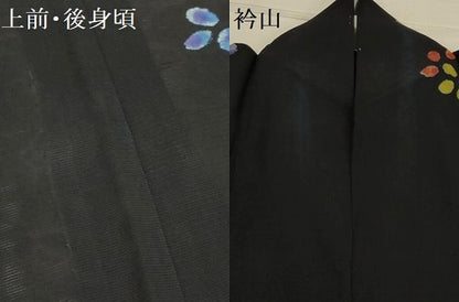 平和屋着物＊夏物 訪問着 絽 舞花文 黒地 正絹 逸品 AABA5543sx