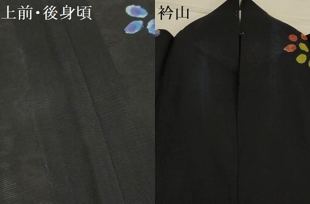 平和屋着物＊夏物 訪問着 絽 舞花文 黒地 正絹 逸品 AABA5543sx