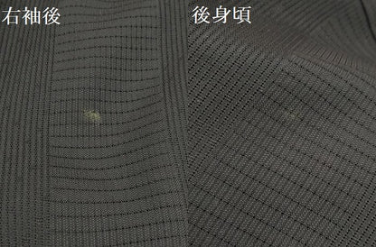 平和屋着物＊夏物 訪問着 変わり絽 雪輪重ね 藍墨茶色 暈し染め 金銀彩 正絹 逸品 AABA5551sx
