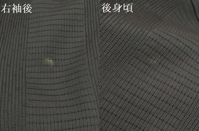 平和屋着物＊夏物 訪問着 変わり絽 雪輪重ね 藍墨茶色 暈し染め 金銀彩 正絹 逸品 AABA5551sx