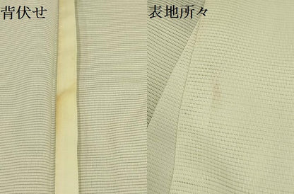平和屋着物＊夏物　訪問着　絽　芒　銀彩　洗える着物　AABA5562sx